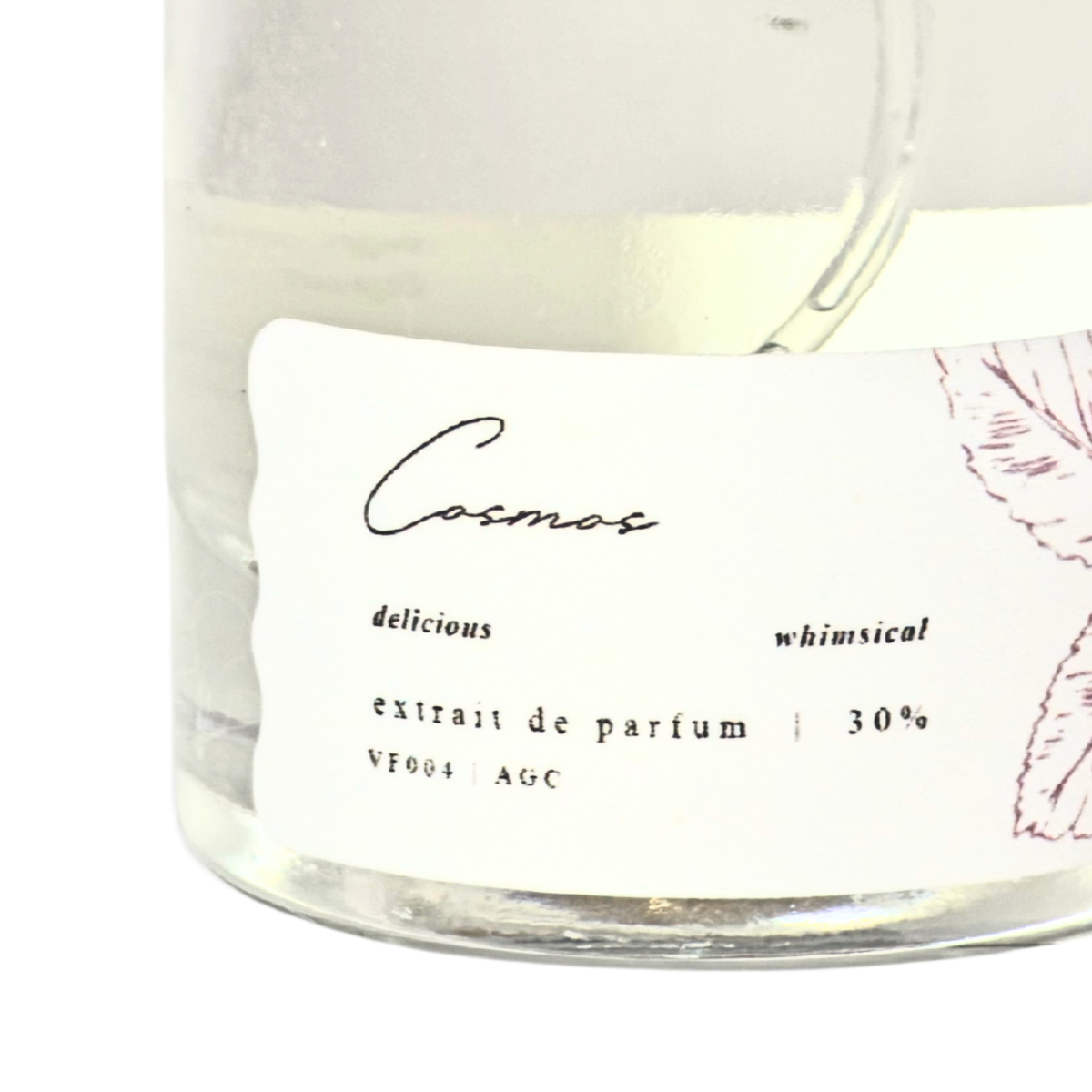 Cosmos