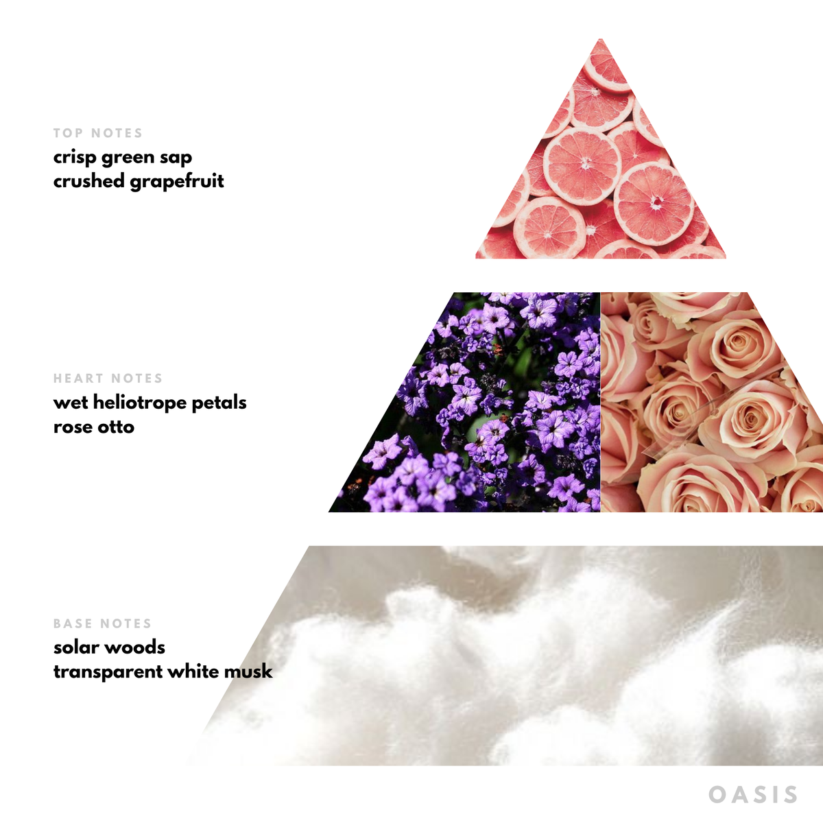 Oasis